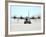 A Ski-equipped LC-130 Hercules-Stocktrek Images-Framed Photographic Print