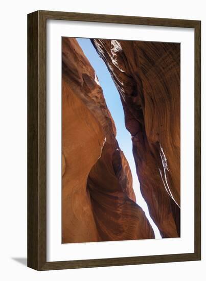 A Skylight-Andrew Geiger-Framed Giclee Print