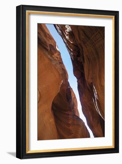 A Skylight-Andrew Geiger-Framed Giclee Print