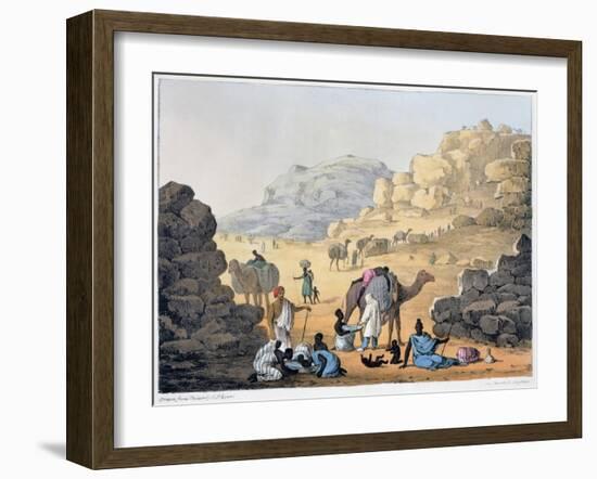 'A Slave Kaffle', 1821-Denis Dighton-Framed Giclee Print
