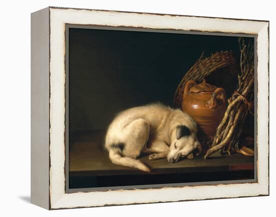 A Sleeping Dog with Terracotta Pot, 1650-Gerrit or Gerard Dou-Framed Premier Image Canvas