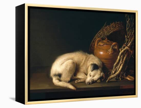 A Sleeping Dog with Terracotta Pot, 1650-Gerrit or Gerard Dou-Framed Premier Image Canvas