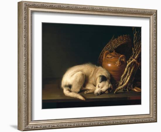 A Sleeping Dog with Terracotta Pot, 1650-Gerrit or Gerard Dou-Framed Premium Giclee Print