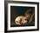 A Sleeping Dog with Terracotta Pot, 1650-Gerrit or Gerard Dou-Framed Premium Giclee Print