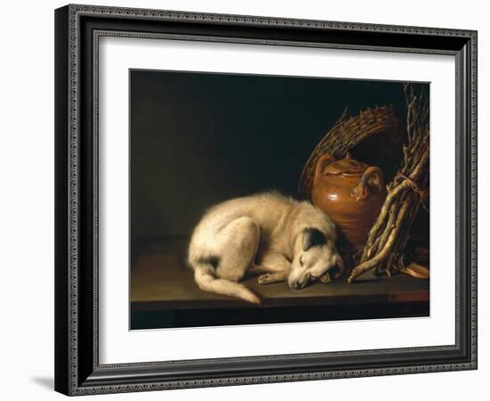 A Sleeping Dog with Terracotta Pot, 1650-Gerrit or Gerard Dou-Framed Premium Giclee Print