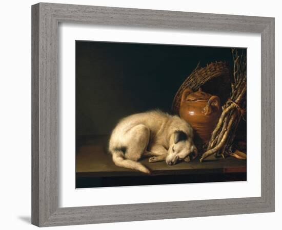 A Sleeping Dog with Terracotta Pot, 1650-Gerrit or Gerard Dou-Framed Giclee Print