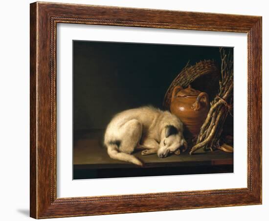 A Sleeping Dog with Terracotta Pot, 1650-Gerrit or Gerard Dou-Framed Giclee Print