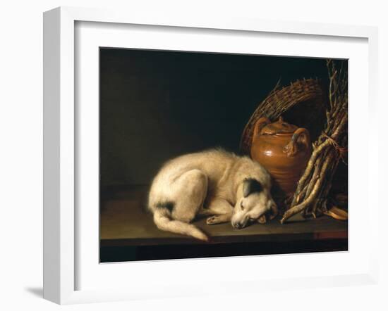 A Sleeping Dog with Terracotta Pot, 1650-Gerrit or Gerard Dou-Framed Giclee Print