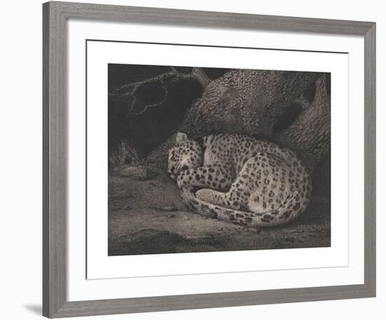 A Sleeping Leopard-George Stubbs-Framed Premium Giclee Print
