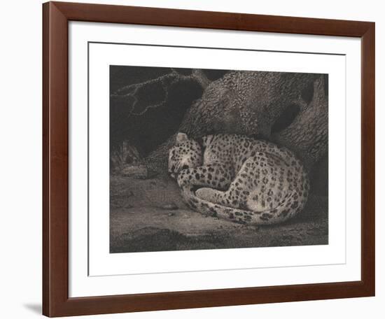 A Sleeping Leopard-George Stubbs-Framed Premium Giclee Print