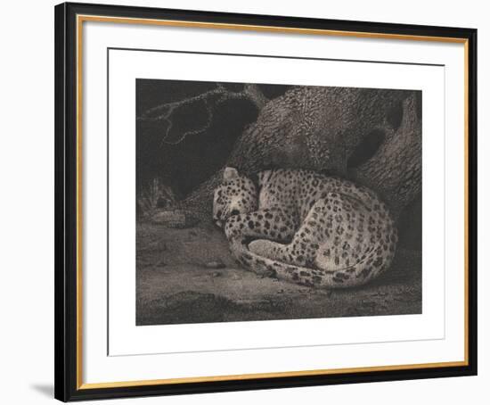 A Sleeping Leopard-George Stubbs-Framed Premium Giclee Print