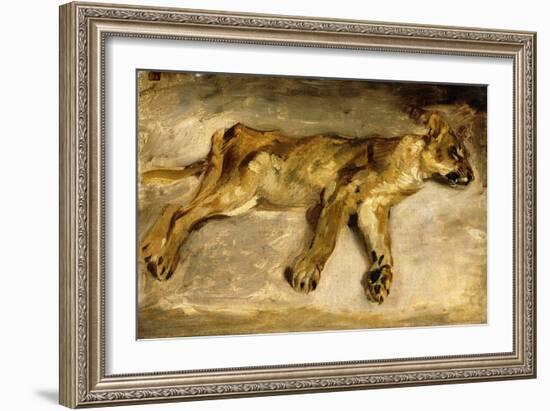 A Sleeping Lioness, C.1830-Eugene Delacroix-Framed Giclee Print