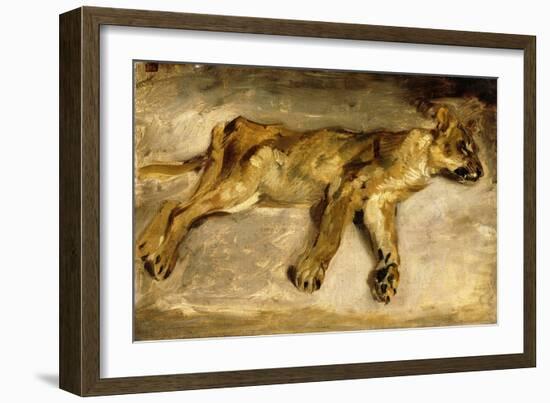 A Sleeping Lioness, C.1830-Eugene Delacroix-Framed Giclee Print