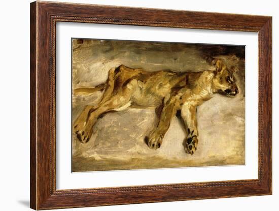 A Sleeping Lioness, C.1830-Eugene Delacroix-Framed Giclee Print