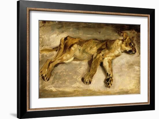 A Sleeping Lioness, C.1830-Eugene Delacroix-Framed Giclee Print