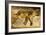 A Sleeping Lioness, C.1830-Eugene Delacroix-Framed Giclee Print