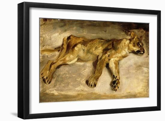 A Sleeping Lioness, C.1830-Eugene Delacroix-Framed Giclee Print