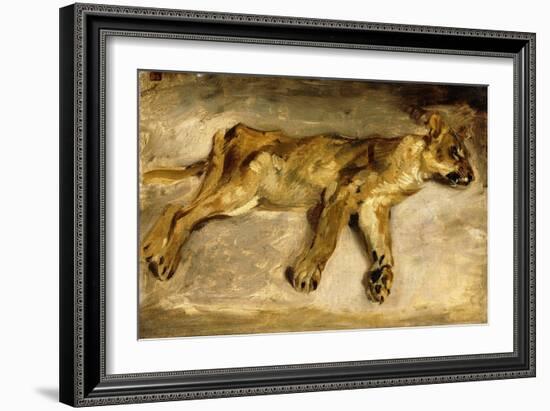 A Sleeping Lioness, C.1830-Eugene Delacroix-Framed Giclee Print