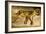 A Sleeping Lioness, C.1830-Eugene Delacroix-Framed Giclee Print