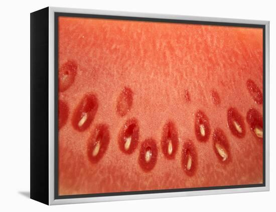 A Slice of Watermelon-Marc O^ Finley-Framed Premier Image Canvas