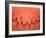 A Slice of Watermelon-Marc O^ Finley-Framed Photographic Print