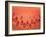 A Slice of Watermelon-Marc O^ Finley-Framed Photographic Print