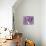 A Sliced Red Cabbage-Rogge & Jankovic-Photographic Print displayed on a wall