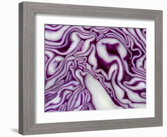 A Sliced Red Cabbage-Rogge & Jankovic-Framed Photographic Print