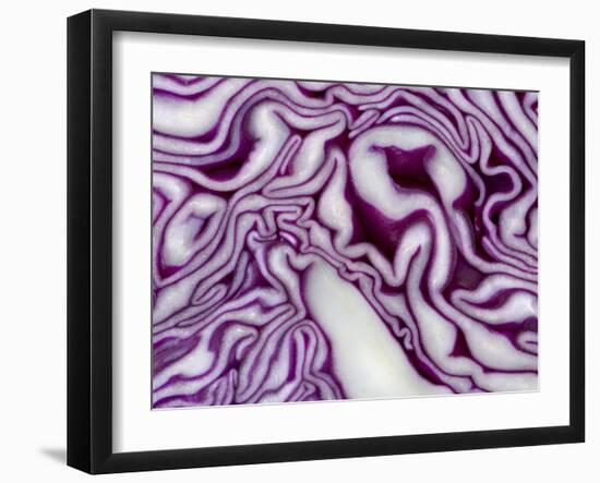 A Sliced Red Cabbage-Rogge & Jankovic-Framed Photographic Print