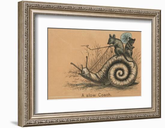 A Slow Coach Mice Riding A Snail-null-Framed Photographic Print