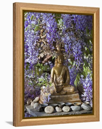 A Small Buddha Shrine Surrounded by Wisteria in Hotel Gangtey Palace, 100-Year-Old Building, Once a-Nigel Pavitt-Framed Premier Image Canvas