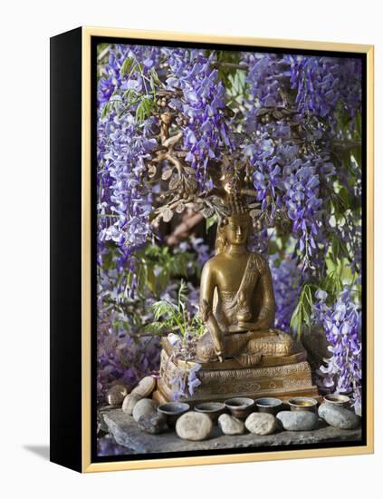 A Small Buddha Shrine Surrounded by Wisteria in Hotel Gangtey Palace, 100-Year-Old Building, Once a-Nigel Pavitt-Framed Premier Image Canvas