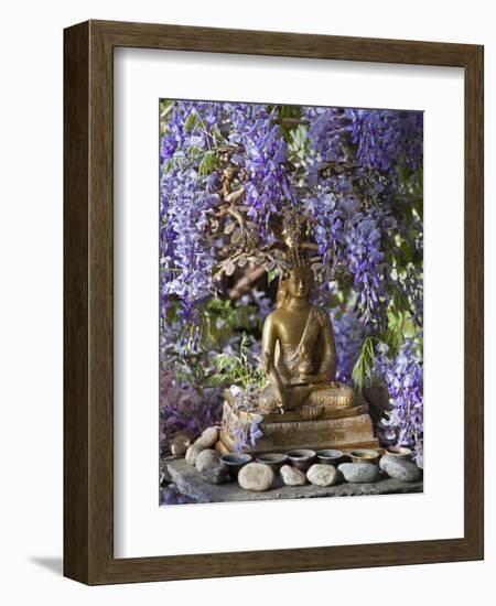 A Small Buddha Shrine Surrounded by Wisteria in Hotel Gangtey Palace, 100-Year-Old Building, Once a-Nigel Pavitt-Framed Photographic Print