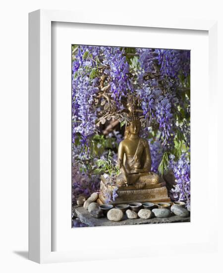 A Small Buddha Shrine Surrounded by Wisteria in Hotel Gangtey Palace, 100-Year-Old Building, Once a-Nigel Pavitt-Framed Photographic Print