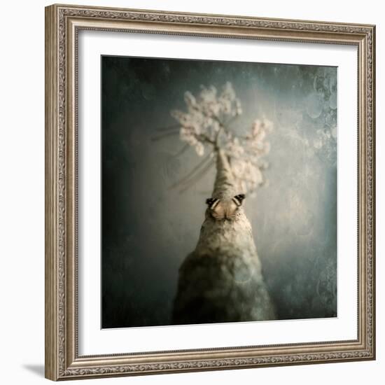 A Small Butterfly Sitting on a Tree with Overlaid Textures-Luis Beltran-Framed Photographic Print