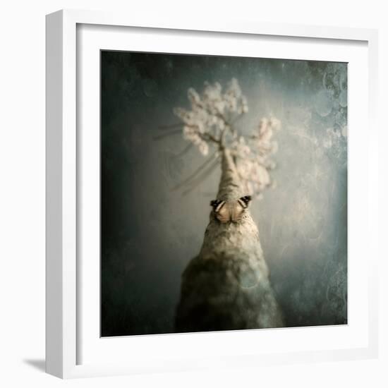 A Small Butterfly Sitting on a Tree with Overlaid Textures-Luis Beltran-Framed Photographic Print