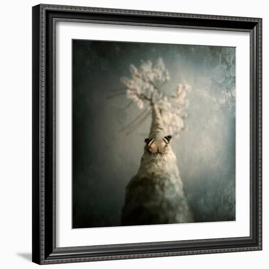 A Small Butterfly Sitting on a Tree with Overlaid Textures-Luis Beltran-Framed Photographic Print