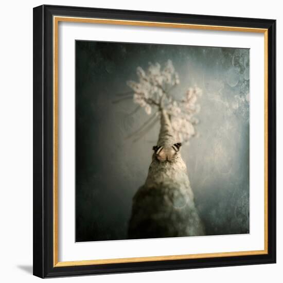 A Small Butterfly Sitting on a Tree with Overlaid Textures-Luis Beltran-Framed Photographic Print