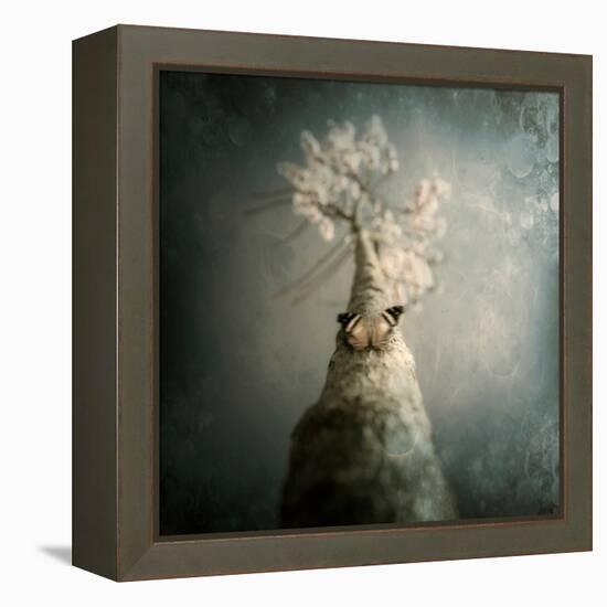 A Small Butterfly Sitting on a Tree with Overlaid Textures-Luis Beltran-Framed Premier Image Canvas