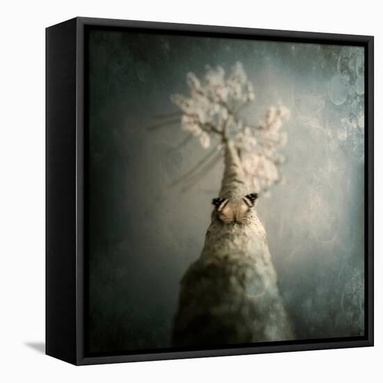 A Small Butterfly Sitting on a Tree with Overlaid Textures-Luis Beltran-Framed Premier Image Canvas