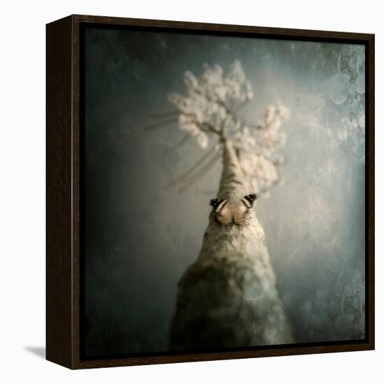 A Small Butterfly Sitting on a Tree with Overlaid Textures-Luis Beltran-Framed Premier Image Canvas