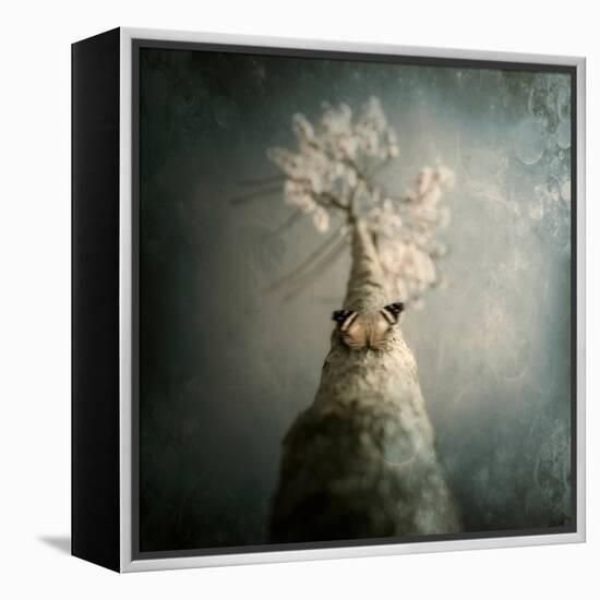 A Small Butterfly Sitting on a Tree with Overlaid Textures-Luis Beltran-Framed Premier Image Canvas