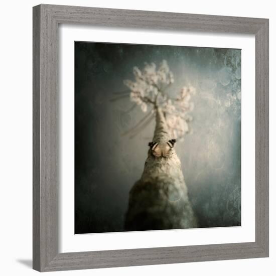 A Small Butterfly Sitting on a Tree with Overlaid Textures-Trigger Image-Framed Photographic Print