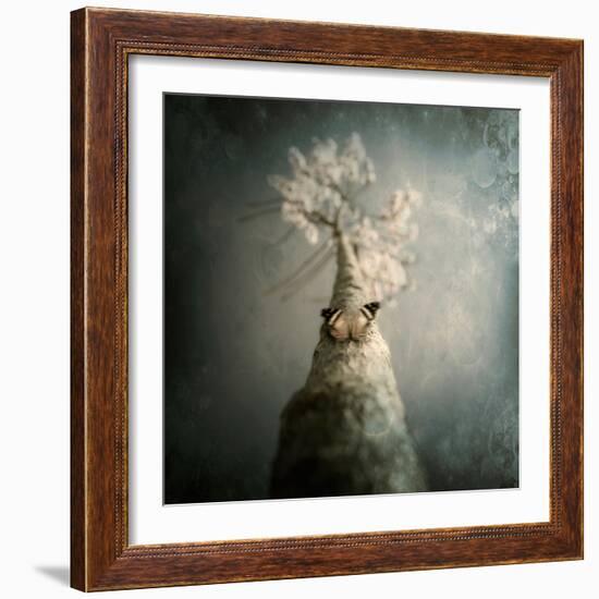 A Small Butterfly Sitting on a Tree with Overlaid Textures-Trigger Image-Framed Photographic Print