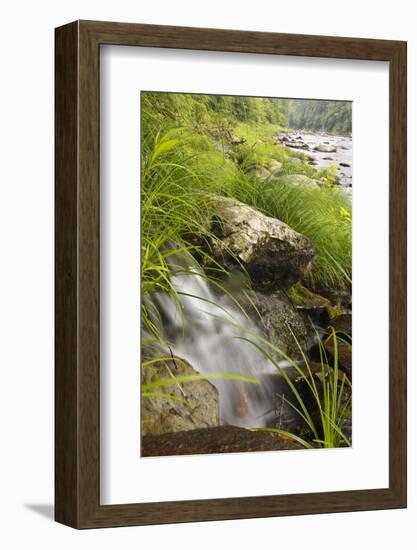 A Small Cascade Near Chesterfield Gorge in Chesterfield, Massachusetts-Jerry & Marcy Monkman-Framed Photographic Print