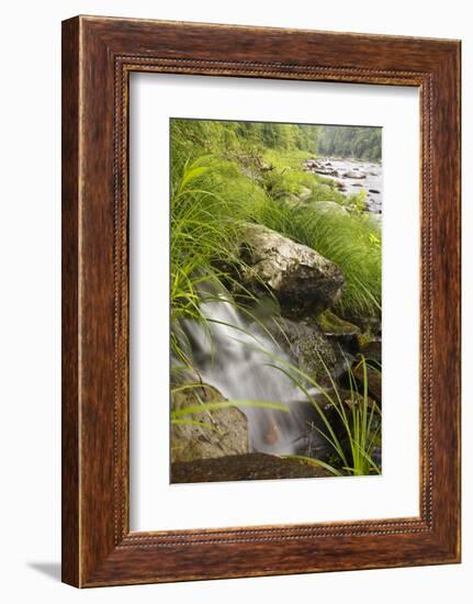 A Small Cascade Near Chesterfield Gorge in Chesterfield, Massachusetts-Jerry & Marcy Monkman-Framed Photographic Print