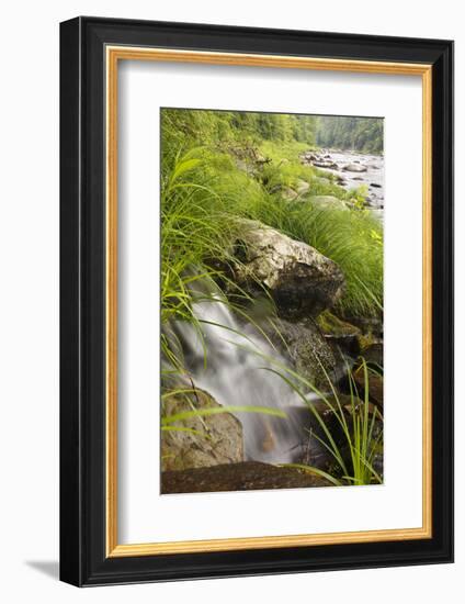 A Small Cascade Near Chesterfield Gorge in Chesterfield, Massachusetts-Jerry & Marcy Monkman-Framed Photographic Print