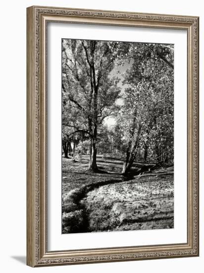 A Small Creek-Alan Hausenflock-Framed Photographic Print