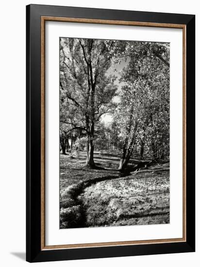 A Small Creek-Alan Hausenflock-Framed Photographic Print