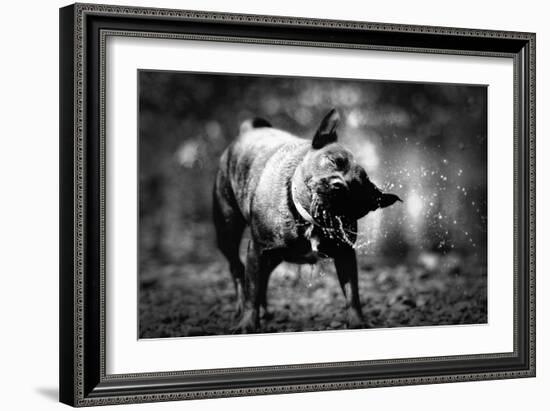 A Small Dog-Clive Nolan-Framed Photographic Print